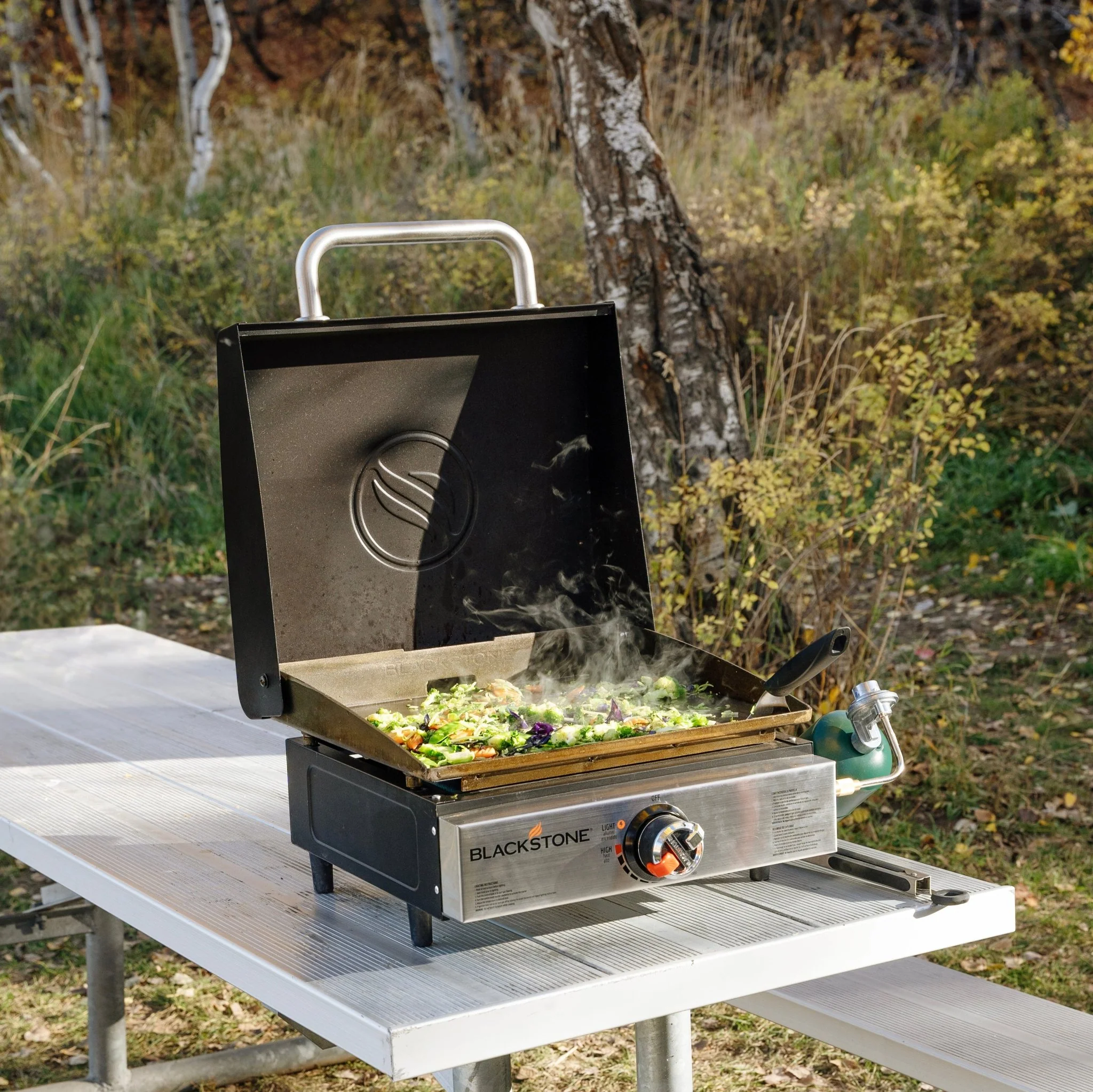 Original 17” Tabletop Griddle with Hood 2 Original 17” Tabletop Griddle with Hood