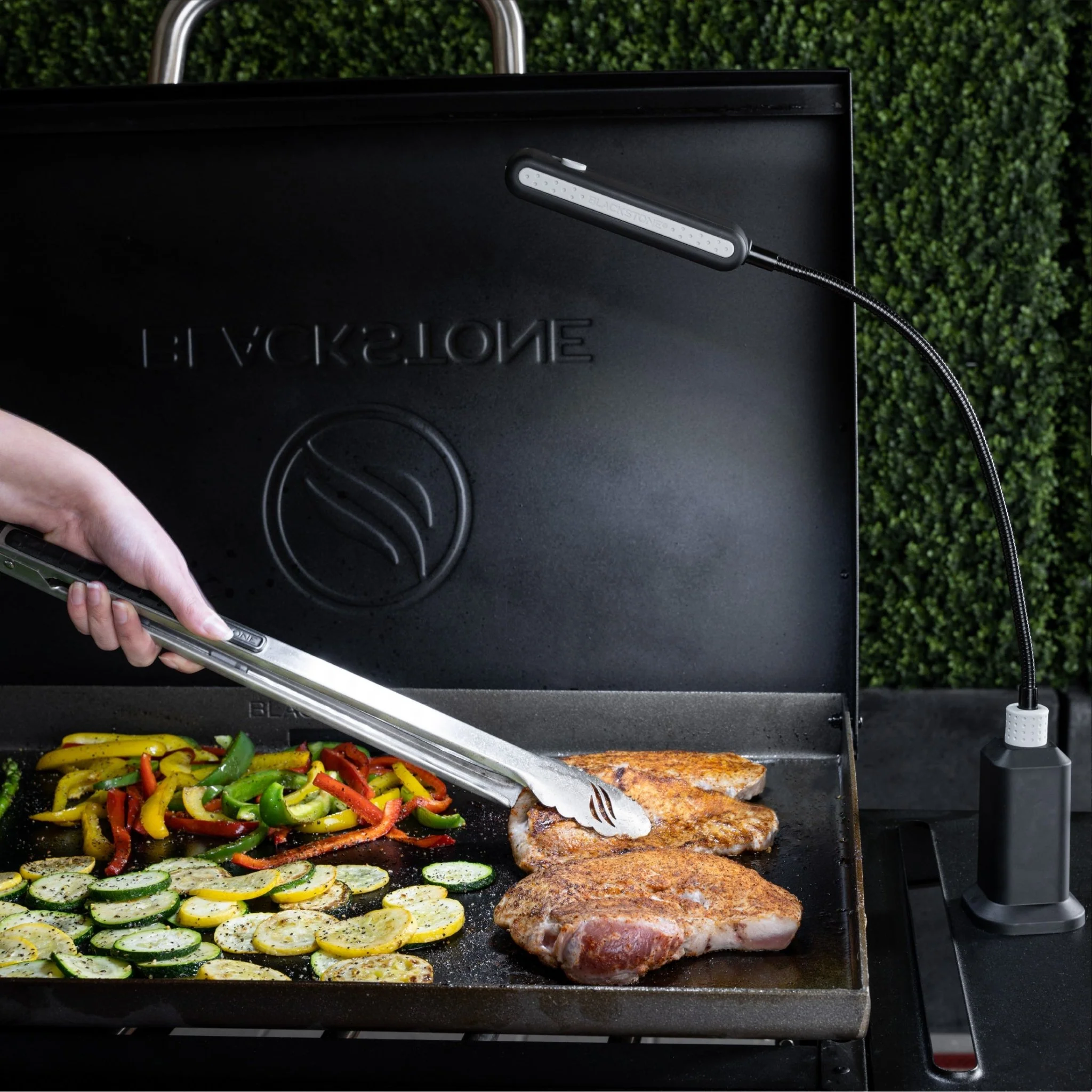 Blackstone Griddle Light 2 Blackstone Griddle Light