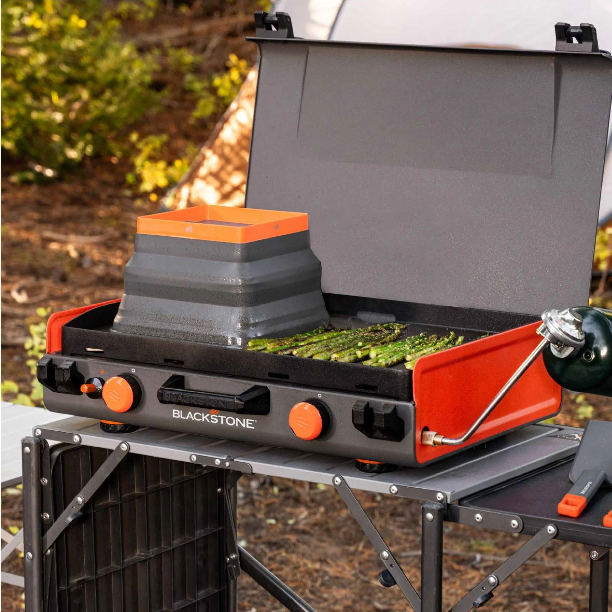 Collapsible Basting Dome 6 Collapsible Basting Dome