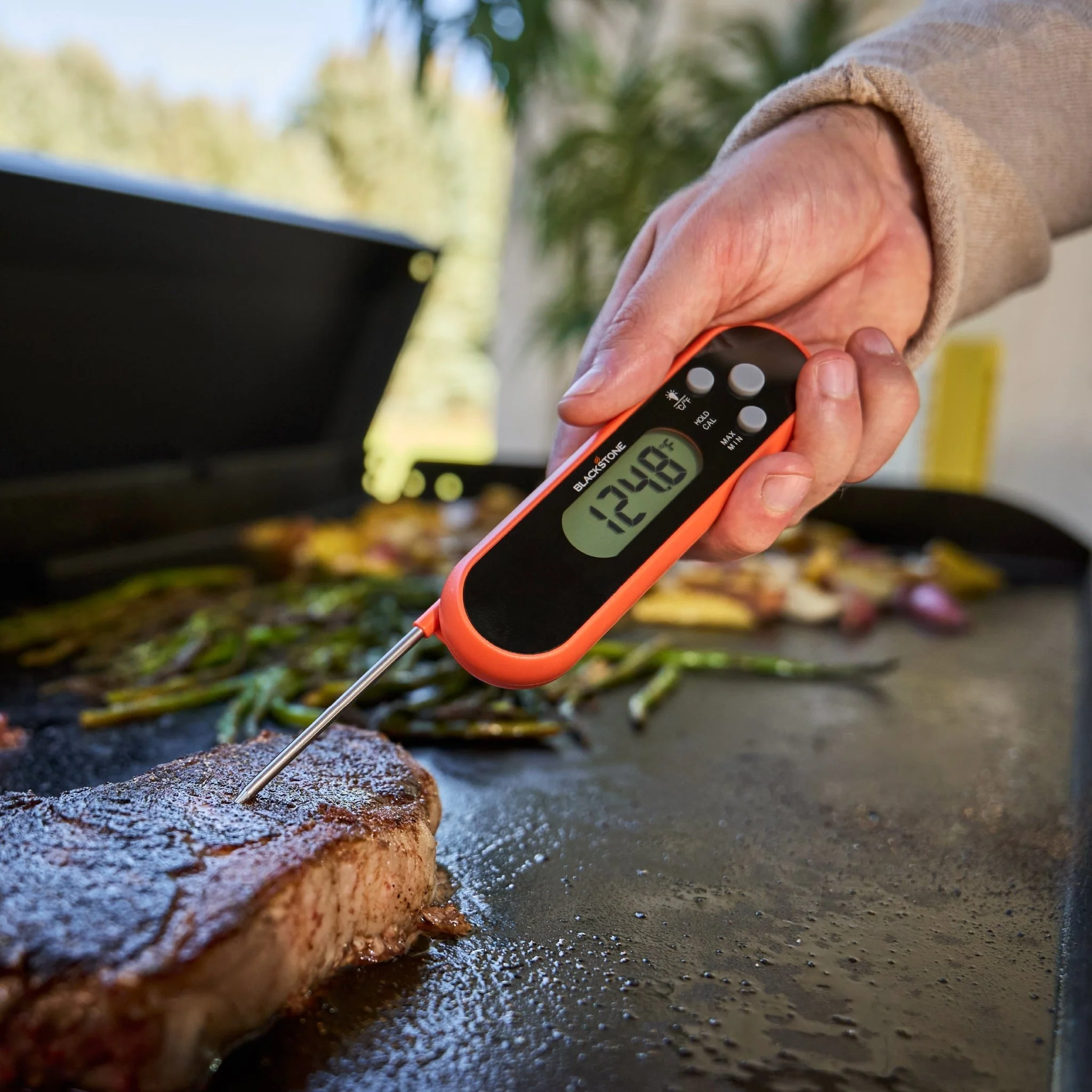 Folding Probe Thermometer 2 Folding Probe Thermometer